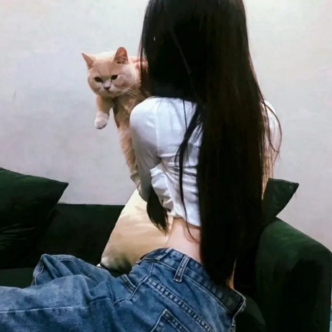 情感剧情