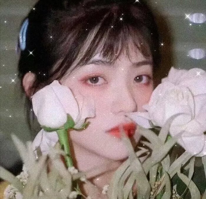 孤雏血泪